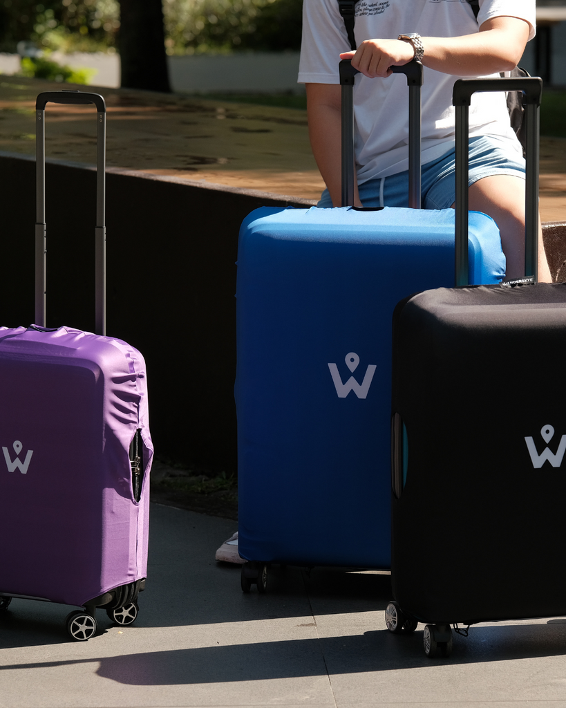 Adding Color and Personality to Your Travels: Wanderskye Plain Luggage Covers