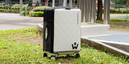 Clear Luggage Covers