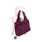 Explora Spin Luggage